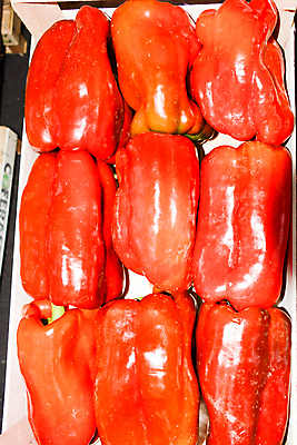 포토 JPG 해외이미지 식물 바다 백그라운드 과일 디저트 산 사람없음 모래언덕 자연백그라운드 해외포토 음식 자연 언덕 파일형식 이미지허브