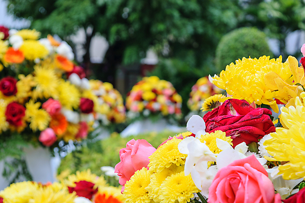 포토 JPG 해외이미지 식물 꽃잎 꽃 분홍색 꽃다발 백그라운드 잎 꽃무늬 자연 벽지 추상 미술 사람없음 장식 빨간색 초록색 장미 노란색 정원 봄 성장 벚꽃 신선 개화 원예 질감 향기 악취 해외포토 계절 컬러 무늬 문화예술 취미 생태계 냄새 파일형식 이미지허브