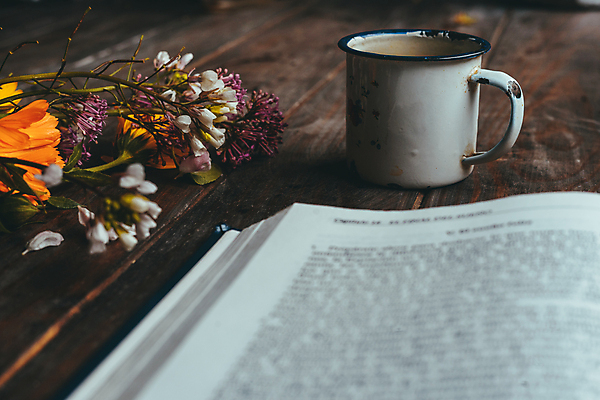 포토 JPG 해외이미지 식물 디자인 꽃 커피 음료 겨울 탁자 아침 휴식 주택 직장 따뜻함 사람없음 내부 목재 장식 책 컵 컬러풀 사무실 독서 햇빛 검은색 침묵 카페 방 머그컵 가을 흰색 업무 뜨거움 조직 작업실 차 책상 주말 리빙 스타일 미니멀 해외포토 주간 나무 식기 계절 컬러 가구 컨셉 회사 비즈니스 재료 건물 태양 상점 소리 작업 파일형식 이미지허브