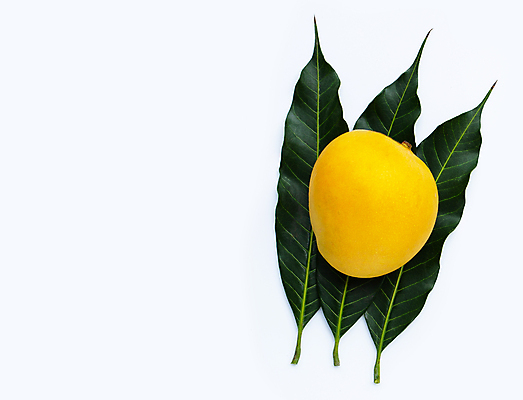 포토 JPG 해외이미지 잎 실내 사람없음 한개 열대과일 흰배경 망고 카피스페이스 해외포토 식물 1 백그라운드 과일 내부 공백 흰색 파일형식 이미지허브