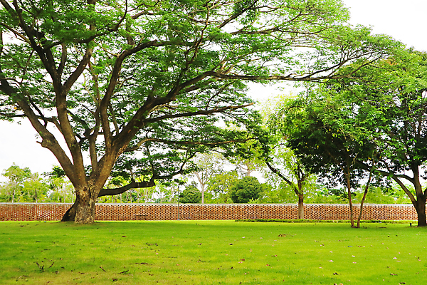 포토 JPG 해외이미지 나무 식물 벽 백그라운드 잎 패턴 건축양식 자연 하늘 추상 벽돌 주택 미술 풍경 잔디 사람없음 목재 장식 가로 빨간색 초록색 여름 파란색 빛 울타리 정원 회색 흰색 시골 신선 질감 상업 조경 포도나무 내추럴 심기 옛날 해외포토 계절 건축 컬러 무늬 재료 모션 문화예술 건물 담장 과일나무 생태계 파일형식 이미지허브