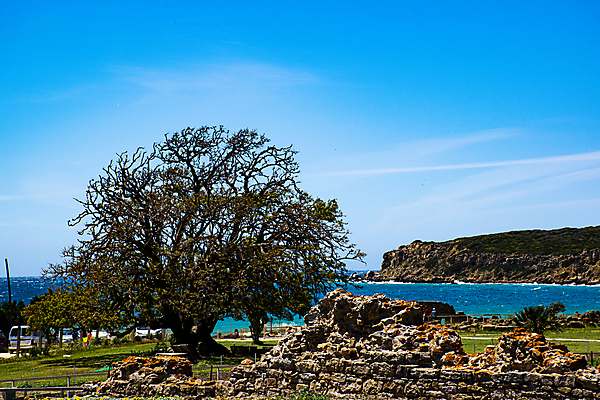 포토 JPG 해외이미지 나무 식물 구름 전통 공원 유럽 모래 바다 여행 백그라운드 건축양식 자연 하늘 휴가 산 파노라마 풍경 사람없음 야외 목재 초록색 물 여름 파란색 컬러풀 골동품 바위 흰색 도시 스페인 숲 폐허 대리석 내추럴 로마인 옛날 해외포토 자연요소 계절 공공시설 건축 나라 컬러 재료 촬영기법 인종 돌_바위 생태계 파일형식 이미지허브