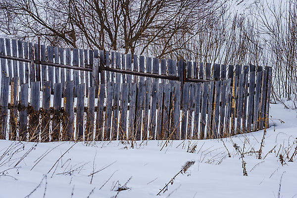포토 JPG 해외이미지 나무 식물 디자인 선 벽 백그라운드 패턴 표면 날씨 사람없음 야외 목재 장식 가로 세로 울타리 정원 어둠 줄무늬 시골 못 판넬 거친 균열 널 가난 버리기 폐허 질감 다리찢기 내추럴 수목 옛날 해외포토 컨셉 무늬 재료 모션 담장 공구 파일형식 이미지허브