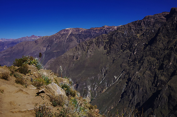 포토 JPG 해외이미지 공원 야생동물 여행 자연 조류 산 파노라마 풍경 사람없음 야외 초록색 강 골짜기 계곡 미국 하이킹 사막 관찰 가장자리 땅 고도 손목시계 언덕 머리위 멀리 깊이 잉카 페루 해외포토 동물 공공시설 시계 컬러 북아메리카 장신구 모션 레저 촬영기법 남아메리카 둘레 생태계 파일형식 이미지허브