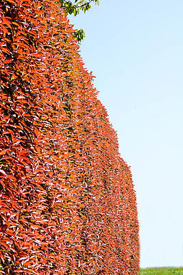 포토 JPG 해외이미지 백그라운드 사람없음 자연백그라운드 해외포토 자연 파일형식 이미지허브
