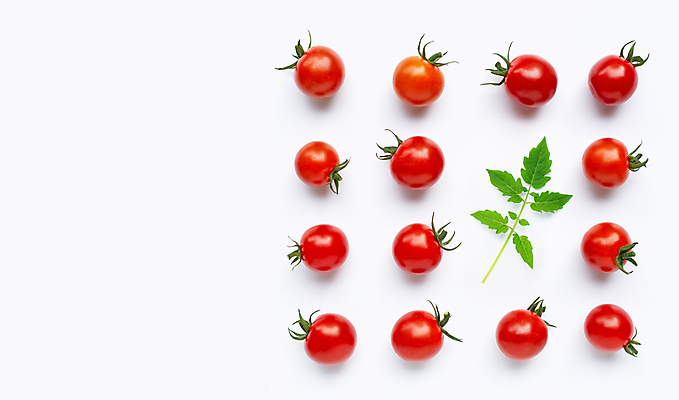 포토 JPG 해외이미지 토마토 방울토마토 실내 사람없음 흰배경 해외포토 백그라운드 채소 내부 흰색 파일형식 이미지허브