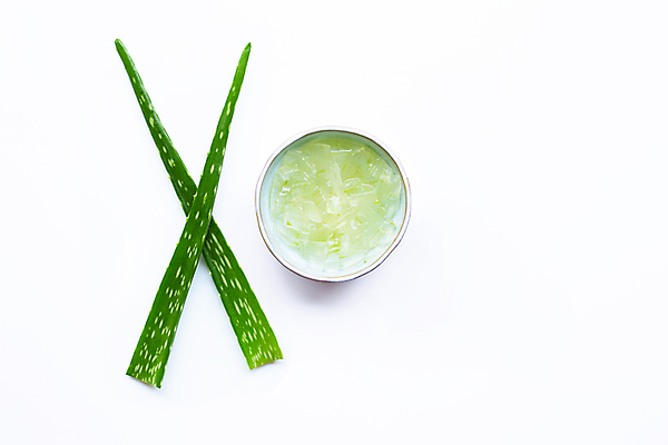 포토 JPG 해외이미지 스튜디오촬영 실내 사람없음 하이앵글 흰배경 알로에 해외포토 식물 뷰포인트 백그라운드 내부 흰색 파일형식 이미지허브