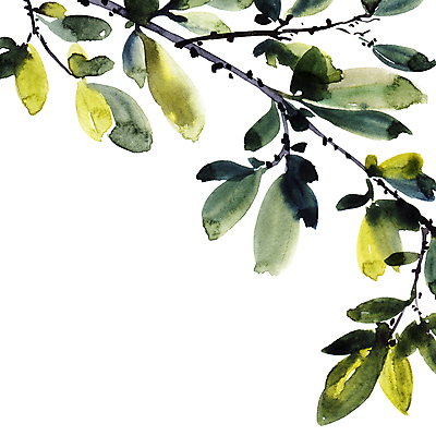 포토 JPG 해외이미지 잎 자연 붓터치 수채화 사람없음 번짐 해외포토 식물 생태계 파일형식 효과 이미지허브