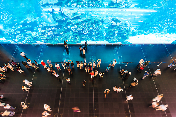 포토 JPG 해외이미지 동물 응시 교육 바다 여행 건축양식 자연 유리 휴가 휴식 실내 선물 어류 설명 사람 사람없음 건물 물 파란색 수중 투명 산호 군중 큼 손목시계 쇼 암초 수족관 내추럴 시범 엑스포 해외포토 자연요소 건축물 시선 건축 시계 컬러 컨셉 장신구 모션 재질 내부 수중동물 자포동물 크기 생태계 파일형식 이미지허브