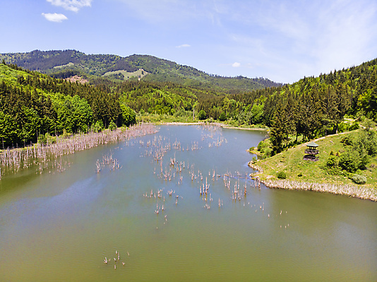 포토 JPG 해외이미지 나무 식물 계절 공원 호수 여행 잎 자연 하늘 산 이끼 풍경 사람없음 야외 목재 가로 초록색 물 여름 파란색 강 반사 환경 봄 손상 가을 나뭇가지 시골 죽음 신선 소나무 숲 위험 장면 내추럴 깨짐 삼림지대 옛날 해외포토 자연요소 공공시설 컬러 컨셉 재료 생태계 파일형식 이미지허브