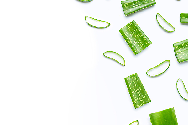 포토 JPG 해외이미지 스튜디오촬영 단면 실내 사람없음 흰배경 알로에 해외포토 식물 백그라운드 내부 흰색 파일형식 이미지허브