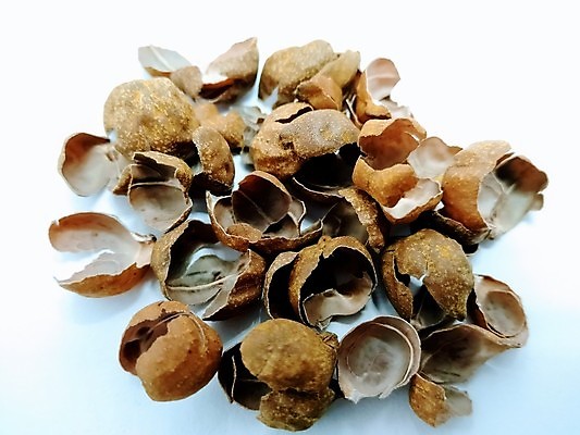 포토 JPG 해외이미지 식물 전통 음식 백그라운드 농업 다이어트 채소 재료 자연 콩 건조 건강 병아리 요리 씨앗 사람없음 목재 쌓기 식사 수확 흰색 신선 사발 맛 정상 낟알 인도인 먹기 허브 유기농 완두콩 날것 내추럴 고립 단백질 병아리콩 생식 채식주의자 비건 해외포토 외국인 나무 웰빙 산업 컬러 컨셉 모션 조류 곡류 동양인 사기그릇 생태계 채식 영양소 파일형식 이미지허브