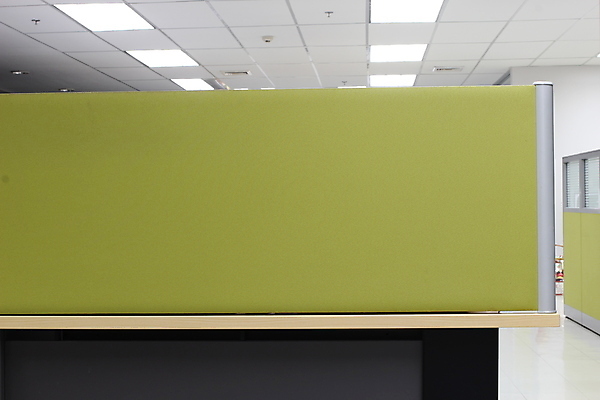 포토 JPG 해외이미지 직업 디자인 교육 남자 벽 2 패턴 회사 비즈니스 사업가 교실 학교 실내 대화 사람 인종 성인 사람없음 목재 옆모습 장식 초록색 사무실 우주 검은색 칠판 흰색 업무 삼베 분필 질감 각도 히스패닉 해외포토 나무 뷰포인트 컬러 무늬 재료 말하기 내부 작업 초크 파일형식 천_직물 이미지허브