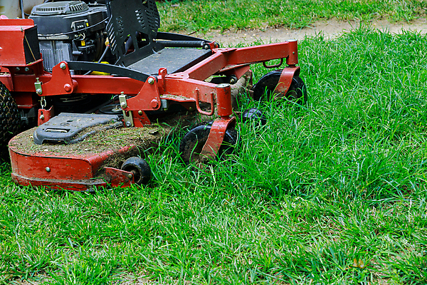 포토 JPG 해외이미지 계절 밭 모션 자연 노동자 풍경 잔디 사람없음 초록색 정원 기계 봄 장비 공구 신선 업무 바퀴 승차 자르기 서비스 원예 조경 트랙터 엔진 유지 다듬기 돌봄 원예사 커터 해외포토 식물 직업 컬러 농업 취미 도구 작업 농기계 생태계 특수차량 파일형식 이미지허브