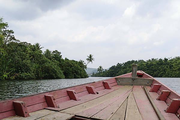 포토 JPG 해외이미지 나무 구름 아시아 호수 섬 여행 백그라운드 자연 하늘 아침 손바닥 동양인 풍경 사람없음 야외 건물 목재 빨간색 초록색 물 파란색 강 여행객 환경 시골 보트 숲 캄보디아 시들음 내추럴 메콩강 이국적 해외포토 주간 자연요소 식물 건축물 손 나라 컬러 배_교통 재료 사람 인종 생태계 파일형식 이미지허브