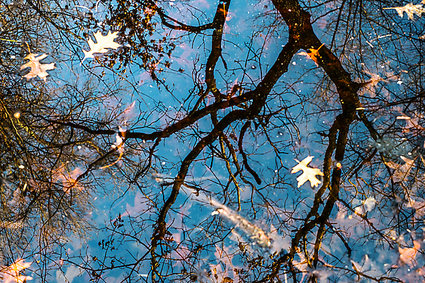 포토 JPG 해외이미지 나무 구름 계절 공원 호수 여행 백그라운드 자연 아침 산 풍경 사람없음 야외 목재 초록색 물 여름 파란색 빛 강 컬러풀 햇빛 태양 반사 평화 환경 침묵 일몰 봄 가을 시골 연못 숲 장면 내추럴 해외포토 주간 자연요소 식물 공공시설 컬러 컨셉 재료 노을 소리 생태계 파일형식 이미지허브