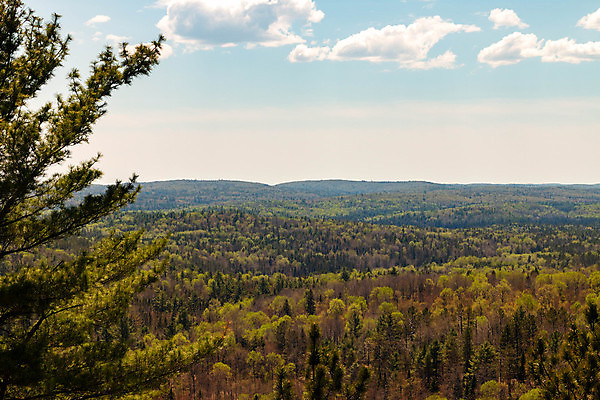 포토 JPG 해외이미지 나무 계절 공원 호수 잎 캐나다 오렌지 자연 풍경 사람없음 야외 빨간색 초록색 물 파란색 컬러풀 반사 노란색 평화 침묵 가을 소나무 황무지 황금 숲 순수 10월 내추럴 강렬 전국 조감도 해외포토 자연요소 식물 공공시설 컬러 컨셉 북아메리카 과일 소리 날짜 생태계 파일형식 이미지허브