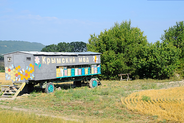 포토 JPG 해외이미지 동물 곤충 밭 날개 자연 출입구 주택 건강 사람없음 야외 목재 여름 상자 노란색 맑음 머리빗 작업 황금 닫기 둥지 수분 벌 묘사 꽃가루 꿀 트레일러 벌집 곱셈 생태학 식민지 양봉 양봉장 왁스 많음 해외포토 나무 계절 교육 컬러 컨셉 농업 재료 모션 날씨 건물 미용용품 수학 가루 생태계 파일형식 이미지허브