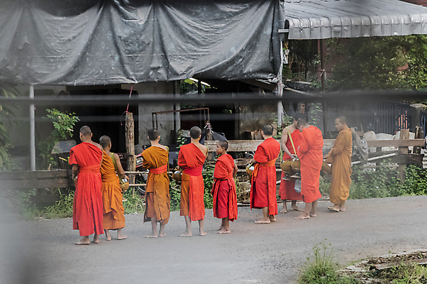 포토 JPG 해외이미지 전통 옷 아시아 종교 문화 음식 여행 불교 오렌지 아침 거리 사람 사람없음 빨간색 상점 산책 모임 기도 도시 사찰 그룹 의식 영혼 승려 주기 라오스 수도원 옛날 인도차이나반도 해외포토 주간 나라 컬러 과일 종교건축 모션 휴식 성직자 파일형식 이미지허브