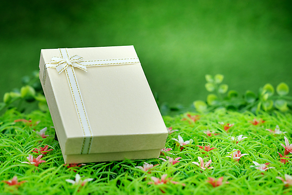 포토 JPG 해외이미지 나무 디자인 기념일 꽃 리본 종이 백그라운드 잎 크리스마스 밭 휴가 새로움 아이디어 발렌타인데이 선물 미술 잔디 사람없음 장식 빨간색 초록색 빛 상자 노란색 맑음 축제 놀람 흰색 축하 생일 연도 오브젝트 활 감사 가치 수공예 소통 뒤뜰 엘리먼트 특별함 해외포토 식물 감정 컬러 컨셉 농업 데이이벤트 날씨 문화예술 표정 이벤트 공예 파일형식 이미지허브