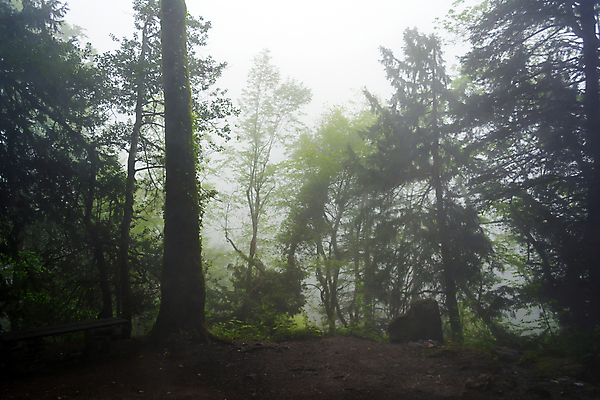 포토 JPG 해외이미지 나무 구름 계절 유럽 길 여행 자연 하늘 휴가 산 풍경 사람없음 야외 목재 컬러풀 햇빛 여행객 안개 시골 숲 지중해 그리스 장면 그리스인 내추럴 강렬 해외포토 자연요소 서양인 식물 나라 바다 컬러 재료 날씨 사람 태양 생태계 파일형식 이미지허브