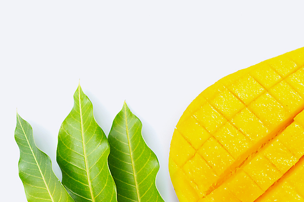 포토 JPG 해외이미지 단면 실내 사람없음 열대과일 흰배경 슬라이스 망고 카피스페이스 해외포토 백그라운드 과일 내부 공백 흰색 파일형식 이미지허브