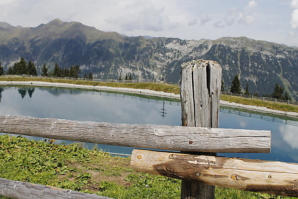 포토 JPG 해외이미지 식물 꽃잎 꽃 분홍색 꽃무늬 자연 하늘 사람없음 야외 파란색 보라색 봄 우아함 자르기 제비꽃 묘사 해외포토 계절 컬러 컨셉 무늬 모션 생태계 파일형식 이미지허브