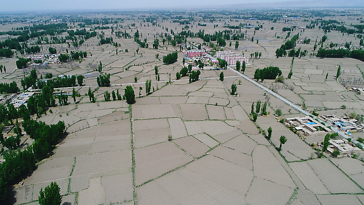 포토 JPG 해외이미지 나무 도로 여행 농업 건축양식 학교 자연 하늘 거리 건조 안테나 풍경 사람없음 야외 건물 초록색 농장 농경지 갈색 마을 환경 정원 중국 회색 시골 도시 정상 가난 먼지 진흙 내추럴 개발 드론 땅바닥 옛날 해외포토 식물 건축물 교육 건축 산업 아시아 길 컬러 컨셉 통신 교통시설 바닥 생태계 파일형식 이미지허브