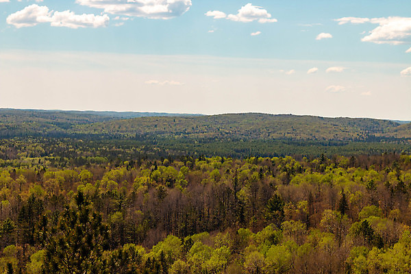 포토 JPG 해외이미지 나무 계절 공원 호수 잎 캐나다 오렌지 자연 풍경 사람없음 야외 빨간색 초록색 물 파란색 컬러풀 반사 노란색 평화 침묵 가을 소나무 황무지 황금 숲 순수 10월 내추럴 강렬 전국 조감도 해외포토 자연요소 식물 공공시설 컬러 컨셉 북아메리카 과일 소리 날짜 생태계 파일형식 이미지허브