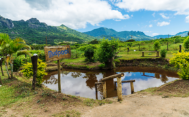 포토 JPG 해외이미지 공원 여행 백그라운드 자연 하늘 휴식 새로움 풍경 사람없음 야외 초록색 물 파란색 정원 계곡 스파 봄 에너지 잠 체험 뜨거움 열대우림 당구 진흙 거인 내추럴 지열 포트폴리오 해외포토 자연요소 계절 공공시설 컬러 컨셉 구기 숲 생태계 파일형식 이미지허브