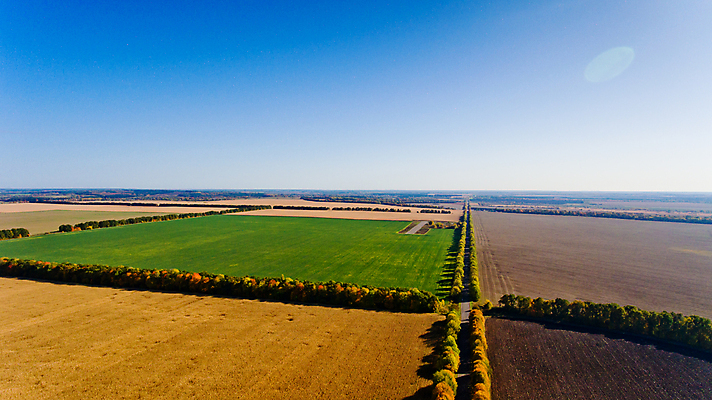 포토 JPG 해외이미지 나무 식물 계절 도로 길 여행 백그라운드 밭 농업 자연 벽지 하늘 안테나 풍경 사람없음 야외 빨간색 초록색 파란색 빛 컬러풀 햇빛 노란색 환경 맑음 가을 시골 황금 숲 땅 심볼 질감 장면 10월 내추럴 수평선 해외포토 산업 컬러 통신 교통시설 날씨 태양 날짜 생태계 파일형식 이미지허브
