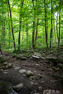 포토 JPG 해외이미지 나무 여행 잎 벤치 자국 건강 사람없음 초록색 물 햇빛 반사 시골 개울 고독 숲 명상 삼림지대 혼자 카피스페이스 해외포토 자연요소 식물 감정 컬러 의자 강 태양 공백 파일형식 이미지허브