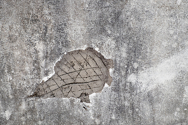 포토 JPG 해외이미지 템플릿 디자인 종이 벽 백그라운드 패턴 건축양식 벽지 표면 날씨 추상 거리 바닥 실내 사람없음 야외 내부 장식 검은색 페인트 공백 방 회색 수확 흰색 거친 플랫 낟알 묘사 질감 복고 시멘트 그런지 석고 옛날 콘크리트 해외포토 건축 컬러 무늬 농업 파일형식 이미지허브