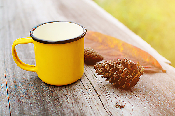 포토 JPG 해외이미지 커피 음료 음식 백그라운드 자연 탁자 아침 사람없음 목재 컵 갈색 노란색 우주 카페 머그컵 신선 뜨거움 아침식사 오브젝트 카푸치노 에스프레소 카페인 해외포토 주간 나무 식기 컬러 가구 재료 상점 식사 생태계 파일형식 이미지허브