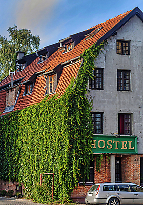 포토 JPG 해외이미지 식물 외관 유럽 벽 잎 건축양식 창문 자연 주택 사람없음 야외 건물 옆모습 초록색 침묵 골동품 성장 덮개 도시 덩굴 포도나무 아이비 폴란드 내추럴 숨기 옛날 개조 해외포토 건축물 건축 나라 뷰포인트 컬러 모션 소리 뚜껑 과일나무 생태계 파일형식 이미지허브