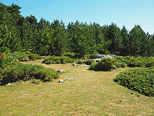 포토 JPG 해외이미지 나무 구름 공원 유럽 바다 여행 자연 하늘 휴가 산 파노라마 풍경 사람없음 야외 초록색 여름 파란색 환경 계곡 맑음 트래킹 하이킹 프랑스 바위 소나무 숲 지중해 고도 알프스 장면 내추럴 전국 절정 코르시카 해외포토 자연요소 식물 계절 공공시설 나라 컬러 섬 레저 날씨 촬영기법 돌_바위 생태계 파일형식 이미지허브