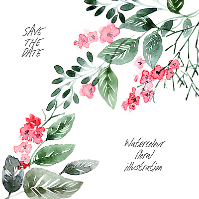 포토 JPG 해외이미지 디자인 열매 꽃잎 잎 자연 붓터치 수채화 사람없음 장미 청첩장 번짐 해외포토 식물 꽃 카드_감사 생태계 파일형식 효과 이미지허브