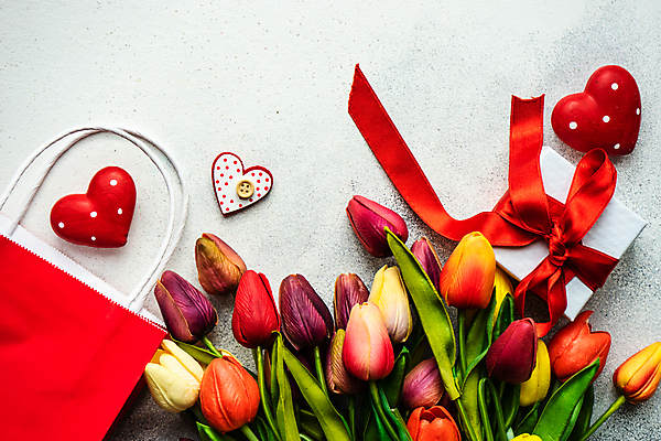 포토 JPG 해외이미지 리본 꽃다발 회색배경 사람없음 장식 선물상자 쇼핑백 튤립 하트 흰배경 해외포토 모양 꽃 백그라운드 가방 선물 상자 회색 흰색 파일형식 이미지허브