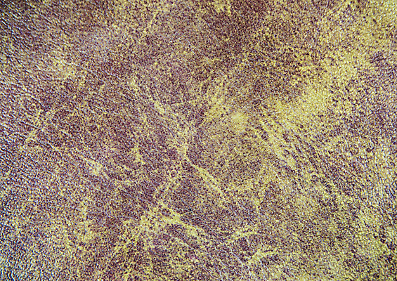 포토 JPG 해외이미지 디자인 백그라운드 패턴 오렌지 자연 벽지 표면 추상 사람없음 갈색 유행 공백 덮개 소 가죽 피부 질감 부드러움 숨김 내추럴 옛날 진짜 해외포토 컬러 컨셉 무늬 과일 포유류 신체부위 뚜껑 감각 생태계 파일형식 이미지허브