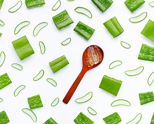 포토 JPG 해외이미지 스튜디오촬영 단면 실내 사람없음 하이앵글 흰배경 알로에 해외포토 식물 뷰포인트 백그라운드 내부 흰색 파일형식 이미지허브