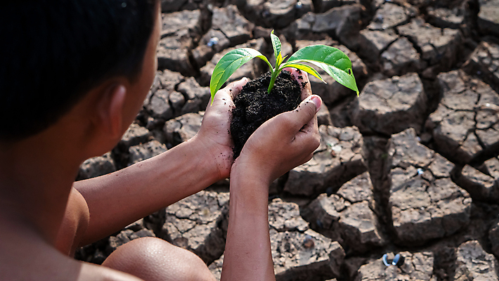 포토 JPG 해외이미지 나무 식물 손 지구 백그라운드 컨셉 손가락 자연 하늘 안전 사람 사람없음 초록색 물 세계 글로벌 태양 지구본 평화 우주 환경 희망 재활용 행성 성장 잡기 보호 땅 사인 생태계 지구온난화 내추럴 개발 돌봄 생태학 여의주 해외포토 자연요소 교육 감정 컬러 모션 신체부위 친환경 기후변화 파일형식 이미지허브