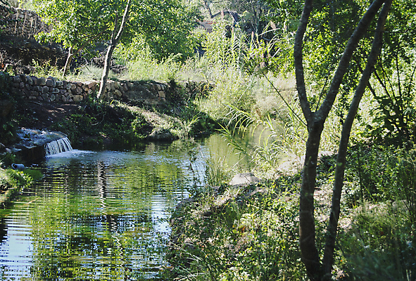 포토 JPG 해외이미지 나무 계절 공원 잎 오렌지 모션 자연 휴식 풍경 사람없음 빨간색 초록색 물 강 햇빛 노란색 귀여움 맑음 놀람 봄 폭포 젖음 흐름 가을 신선 개울 숲 시원함 순수 천국 내추럴 이국적 파라다이스 해외포토 자연요소 식물 공공시설 감정 컬러 컨셉 과일 날씨 표정 빛 생태계 파일형식 이미지허브