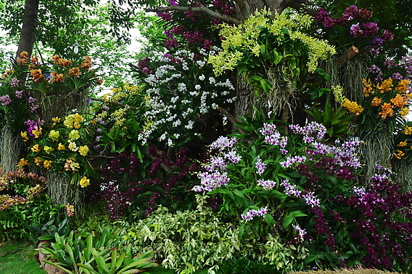 포토 JPG 해외이미지 식물 열매 꽃잎 꽃 분홍색 잎 꽃무늬 자연 유리 딸기 해바라기 사람없음 장식 빨간색 초록색 파란색 세트 장미 노란색 튤립 성장 나뭇가지 침대 난초 황금 민들레 달리아 관목 데이지 모음 라일락 내추럴 고립 수레국화 해외포토 나무 컬러 가구 무늬 과일 재질 한글 생태계 파일형식 이미지허브