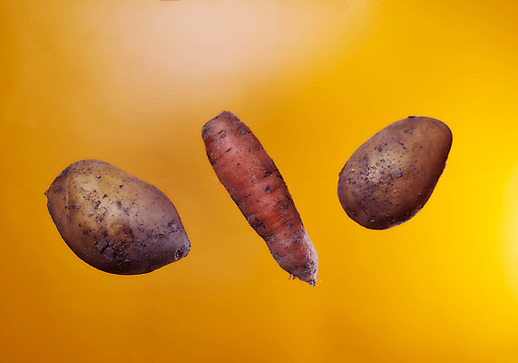 포토 JPG 해외이미지 배너 잡화 종이 컨셉 채소 가방 재료 벽지 호박 가지 감자 소년 사람없음 초록색 세트 유행 당근 회색 수확 잡기 점 시장 먹기 쌍둥이 준비 생태계 진흙 후추 낭비 슈퍼마켓 영양분 유전자변형 주키니호박 채식주의자 콘크리트 못생김 비건 해외포토 남자 어린이 컬러 농업 가족 모션 뿌리채소 상점 향신료 채식 파일형식 이미지허브