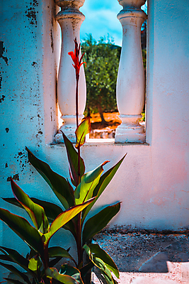 포토 JPG 해외이미지 라이프스타일 디자인 외관 꽃 건축양식 창문 호텔 부동산 주택 사람없음 야외 건물 마을 정원 맑음 놀람 수확 발코니 흰색 시골 도시 재산 고급 지중해 빌라 그림 휴양지 조경 타운 리빙 해외포토 식물 건축물 건축 감정 바다 컬러 컨셉 농업 숙소 날씨 표정 생활 금융 장소 파일형식 이미지허브