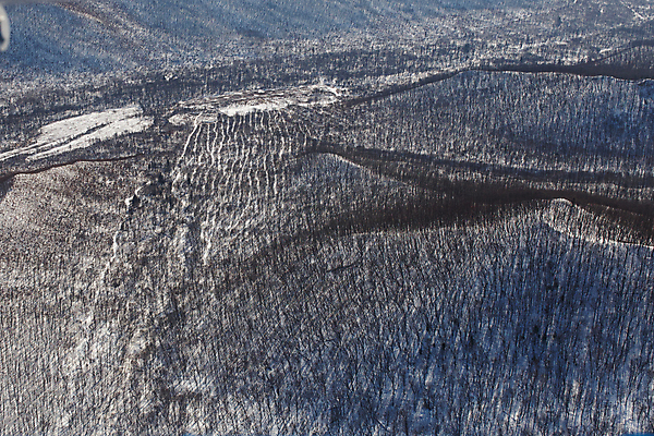 포토 JPG 해외이미지 나무 계절 공원 길 백그라운드 겨울 자연 날씨 안테나 핀란드 풍경 사람없음 야외 파란색 빛 냉동 얼음 추위 흰색 시골 소나무 황무지 숲 시원함 가루 서리 지역 침엽수 전나무 1월 2월 벌거벗은 스칸디나비아 가문비나무 해외포토 자연요소 식물 공공시설 컬러 통신 북유럽 날짜 생태계 파일형식 이미지허브