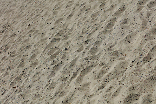 포토 JPG 해외이미지 계절 모래 바다 여행 자국 자연 하늘 표면 휴가 휴식 사랑 풍경 해변 사람없음 야외 여름 모래사장 햇빛 태양 평화 맑음 침묵 꿈 하트 서핑 인쇄 발자국 사인 휴양지 파라다이스 수평선 해외포토 자연요소 모양 감정 컨셉 날씨 소리 장소 수상스포츠 생태계 파일형식 이미지허브