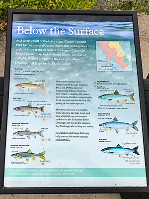 포토 JPG 해외이미지 사람없음 미국 폭포 빙하 사이클링 절정 해외포토 북아메리카 자연 육상스포츠 파일형식 이미지허브