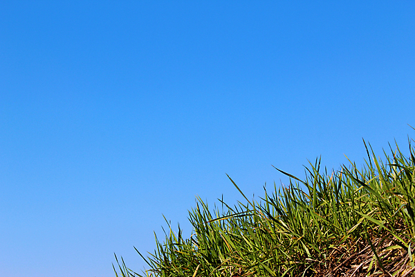 포토 JPG 해외이미지 식물 계절 백그라운드 잎 밭 농업 채소 자연 하늘 건강 파노라마 풍경 잔디 사람없음 야외 초록색 여름 파란색 농장 환경 정원 봄 성장 흰색 시골 신선 장면 대각선 생태학 해외포토 교육 산업 선 컬러 촬영기법 생태계 파일형식 이미지허브