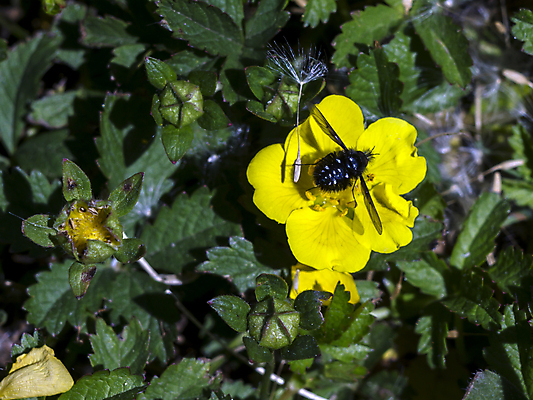 포토 JPG 해외이미지 식물 꽃잎 꽃 분홍색 꽃무늬 밭 자연 사람없음 초록색 여름 보라색 봄 들꽃 벚꽃 신선 클로버 허브 내추럴 해외포토 계절 컬러 무늬 농업 생태계 파일형식 이미지허브